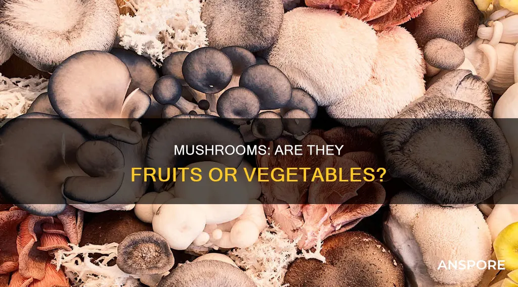 do mushrooms have fruit
