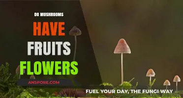 Mushrooms: Flowers, Fruits, and Fungi