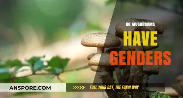 Mushroom Mysteries: Exploring Gender Diversity in Fungi