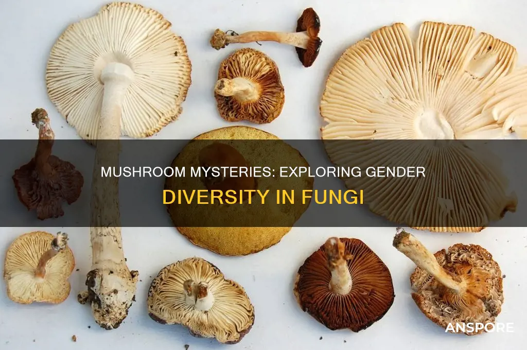 do mushrooms have genders