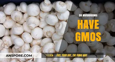 Mushrooms: GMOs or Not?