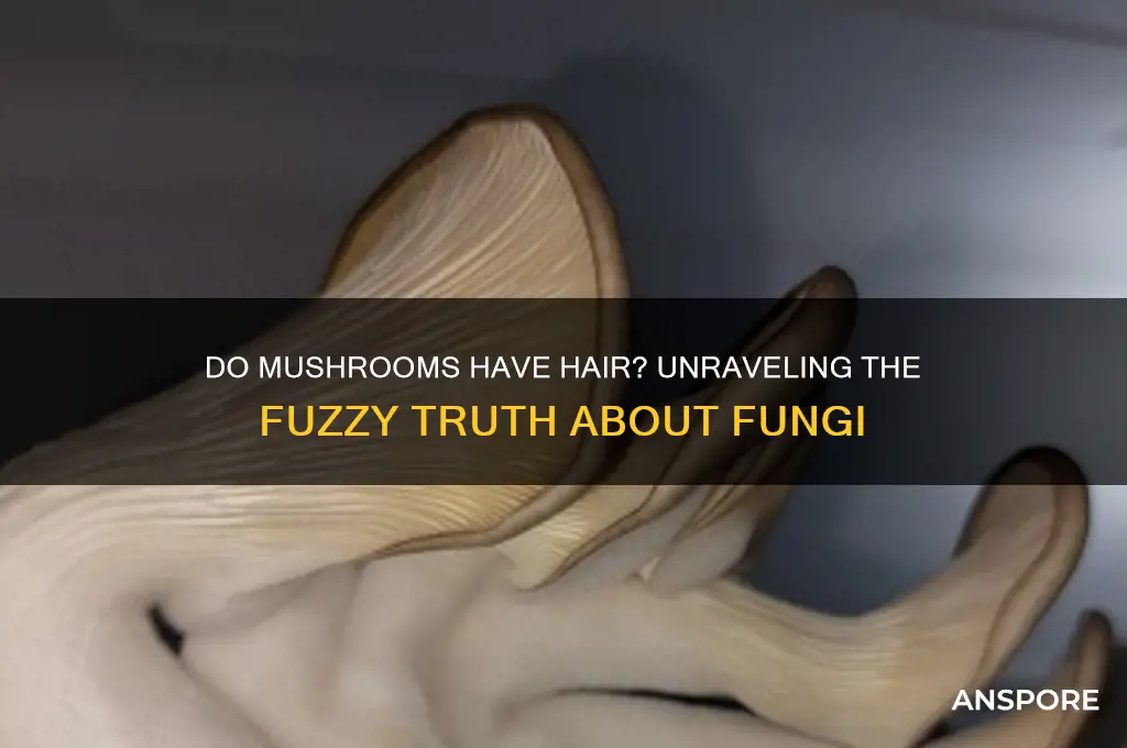 do mushrooms have hair on them