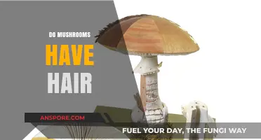 Mushrooms: Hairy or Bald?