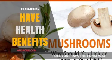 Mushrooms: Nature's Superfood for Your Health?