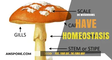 Mushrooms: Masters of Homeostasis?
