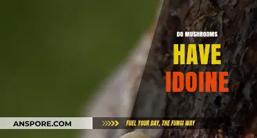 Mushrooms: Iodine Powerhouses or Deficient?