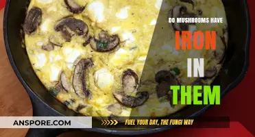 Mushrooms and Iron: Unveiling the Nutritional Benefits of Fungi