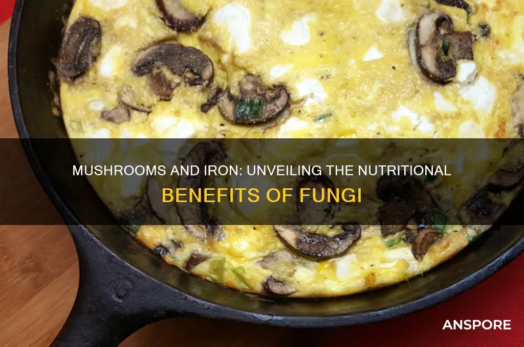 do mushrooms have iron in them
