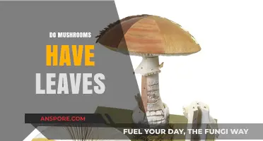 Mushrooms: Leafy or Not?