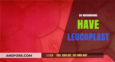 Leucoplasts in Mushrooms: What's the Deal?