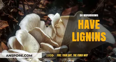 Mushrooms: Lignin's Role and Its Significance