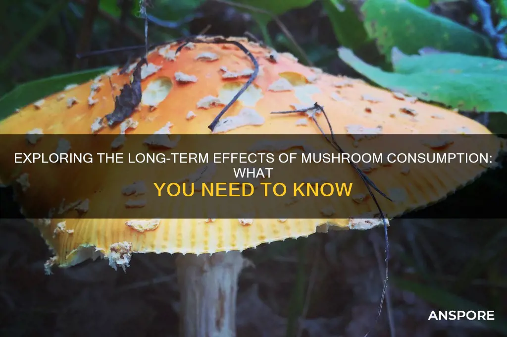 do mushrooms have long term effects