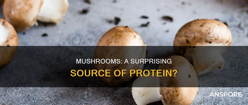 do mushrooms have lrotein