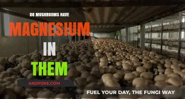 Mushrooms and Magnesium: Unveiling Their Nutritional Benefits and Content