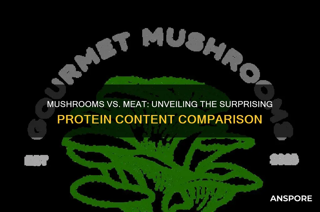 do mushrooms have more protein than meat