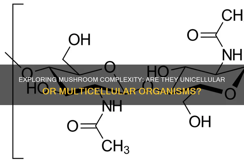 do mushrooms have more than one cell