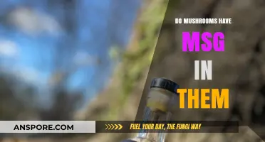 Do Mushrooms Naturally Contain MSG? Uncovering the Truth About Umami