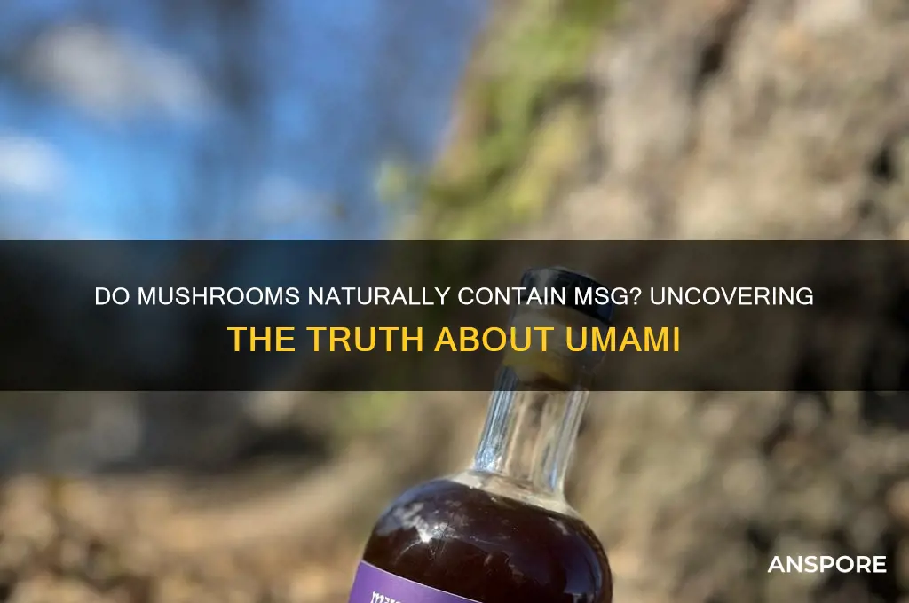 do mushrooms have msg in them