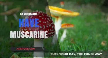 Mushrooms and Muscarine: What's the Connection?
