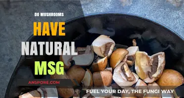 Mushrooms' MSG: Nature's Secret Flavor Enhancer