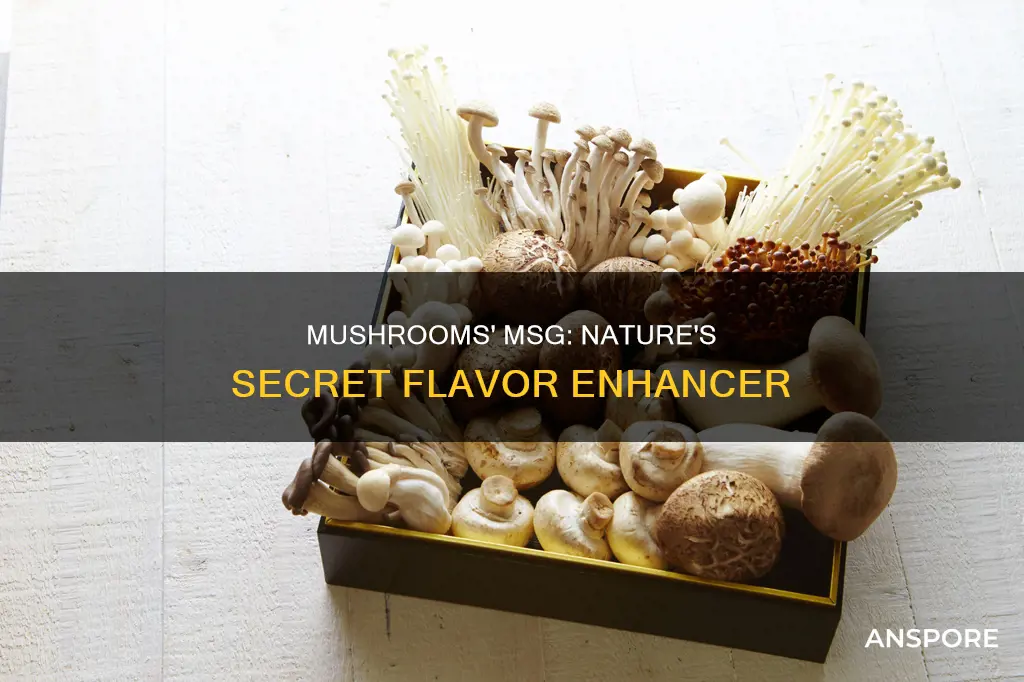 do mushrooms have natural msg