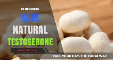 Mushrooms: Natural Testosterone Boosters?