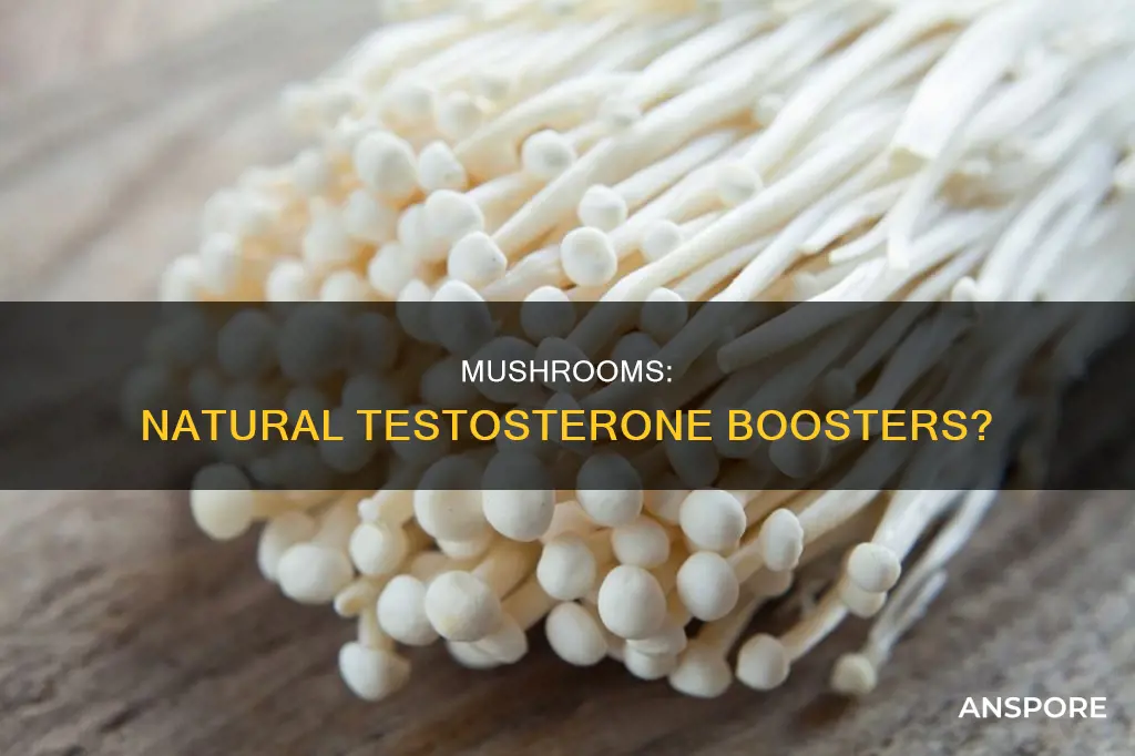 do mushrooms have natural testoserone