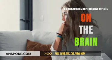 Mushrooms and Brain Health: Uncovering Potential Negative Effects