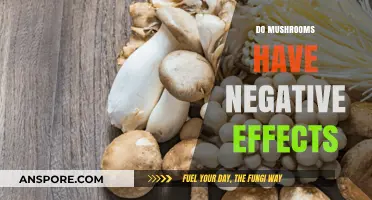 Mushrooms: Exploring Their Potential Dark Side