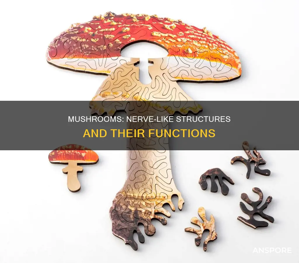 do mushrooms have nerves