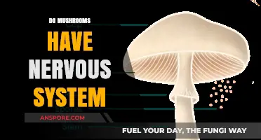 Mushrooms: Do They Have a Nervous System?