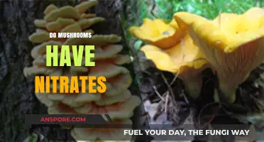 Mushrooms and Nitrates: What's the Connection?
