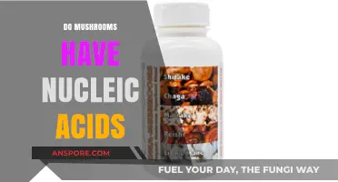 Mushrooms: A Rich Source of Nucleic Acids?