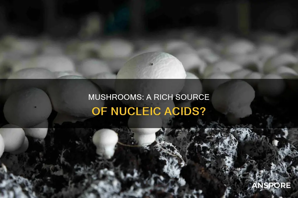 do mushrooms have nucleic acids