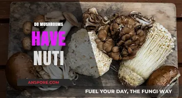 Mushrooms: Nature's Nutritional Powerhouses