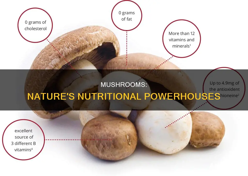 do mushrooms have nuti