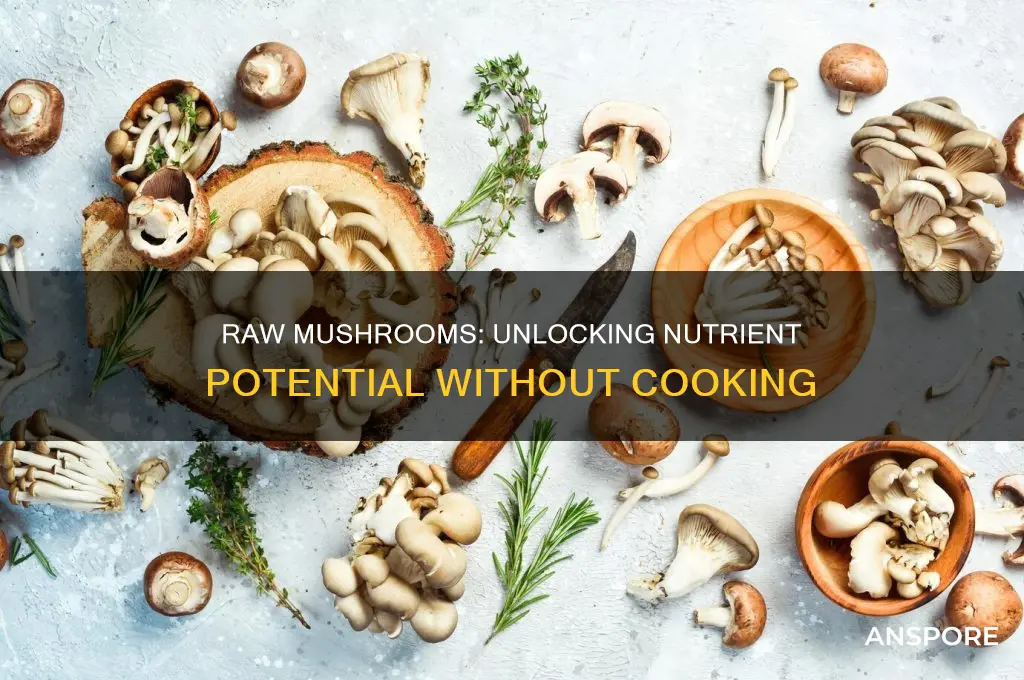 do mushrooms have nutrients when raw