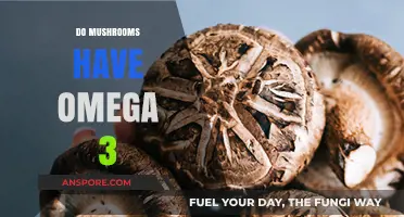 Mushrooms: A Rich Source of Omega-3s?