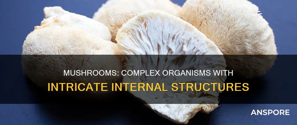 do mushrooms have organs