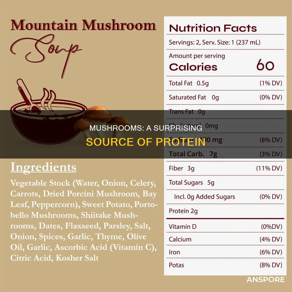 do mushrooms have orotein