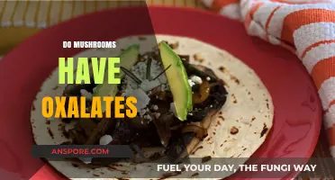 Mushrooms and Oxalates: What's the Connection?