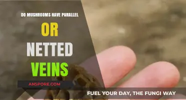 Mushroom Vein Structure: Parallel or Netted? Unraveling the Mystery