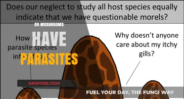 Mushrooms: Parasites and Their Hosts