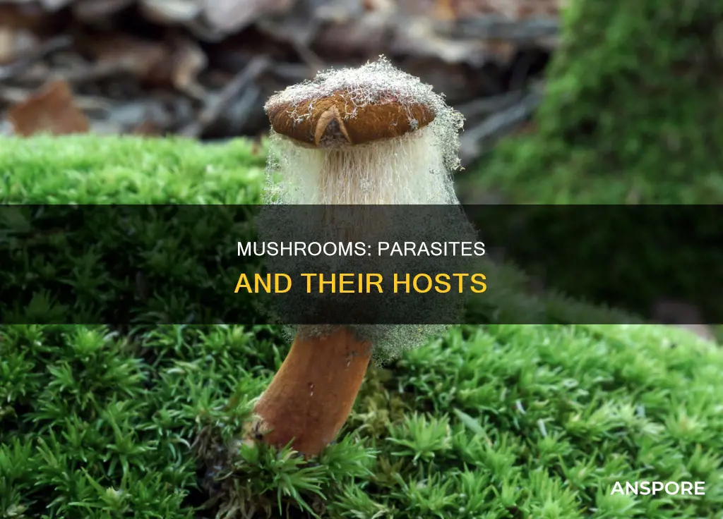 do mushrooms have parasites