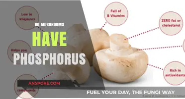 Phosphorus in Mushrooms: Nutrition and Health
