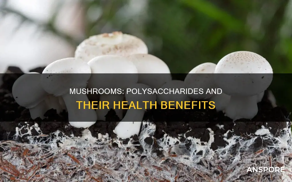 do mushrooms have polysaccharides