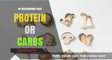 Mushrooms Nutrition: Unveiling Protein and Carb Content in Fungi