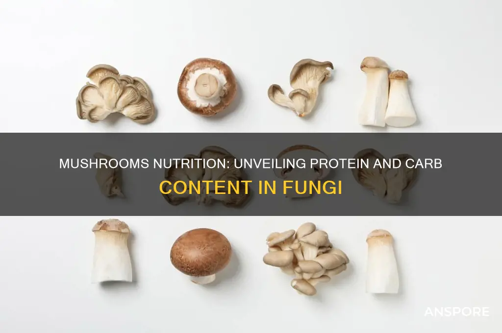 do mushrooms have protein or carbs