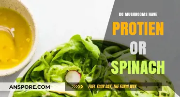 Mushrooms vs. Spinach: Which Offers More Protein for Your Diet?