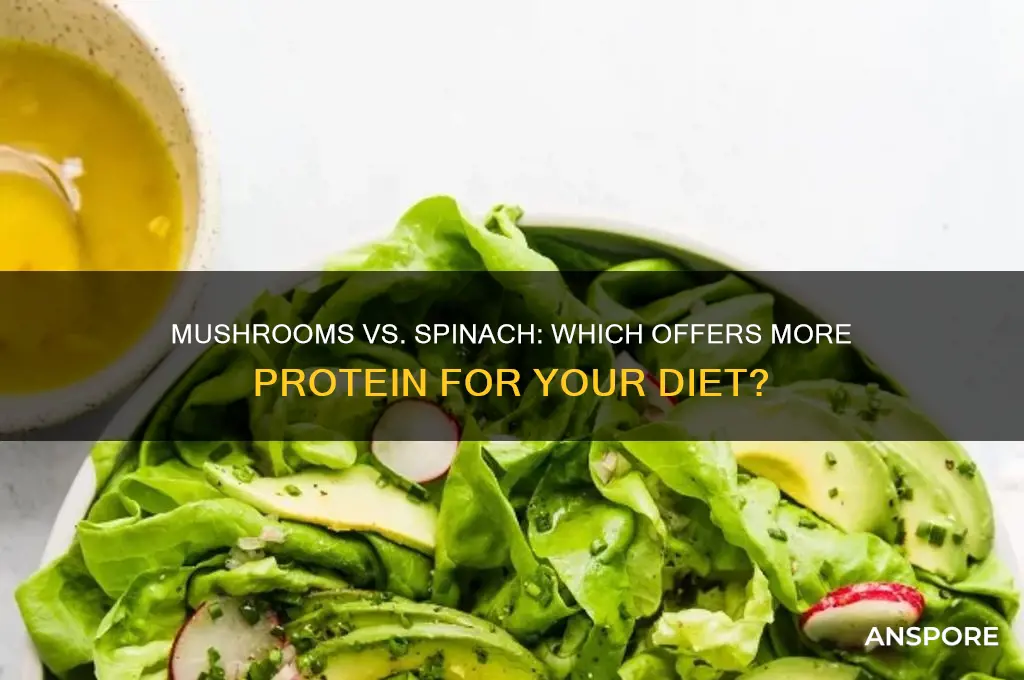 do mushrooms have protien or spinach